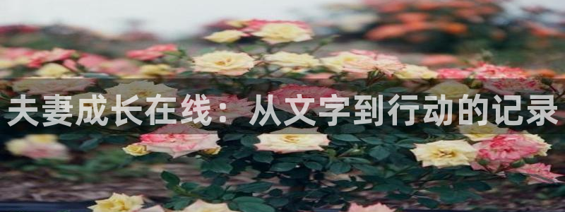 歪歪漫画在线下载：夫妻成长在线：从文字到行动的记录