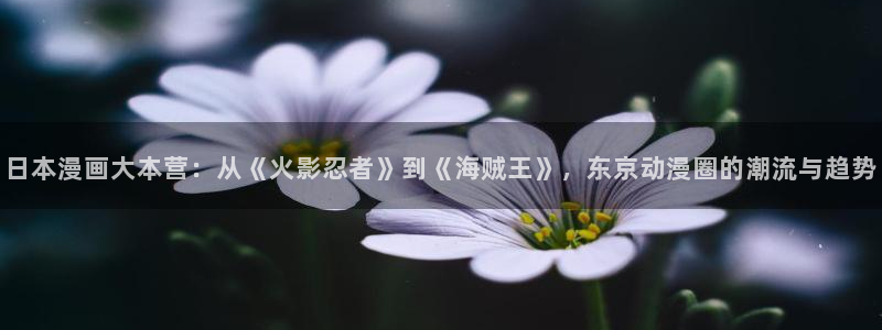yy韩漫歪歪漫画网站：日本漫画大本营：从《火影忍者》到《海贼王》，东京动漫圈的潮流与趋势