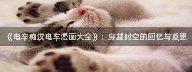 歪歪漫画连载涩漫中：《电车痴汉电车漫画大全》：穿越时空的回忆与反思
