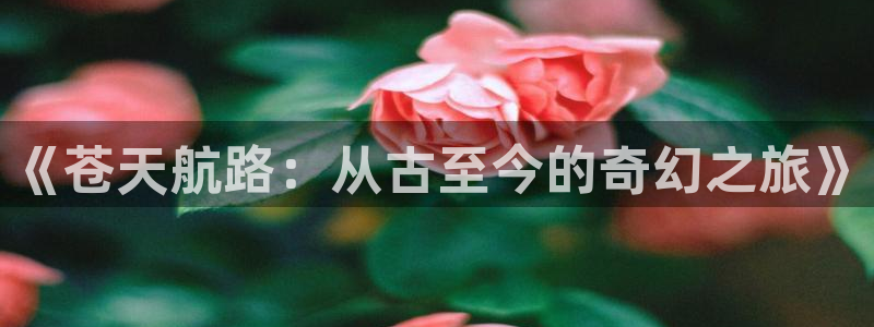 yy漫画com：《苍天航路：从古至今的奇幻之旅》