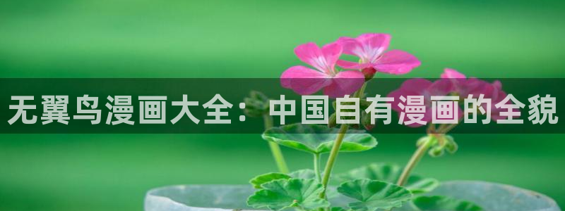yy漫画免费观看视频：无翼鸟漫画大全：中国自有漫画的全貌