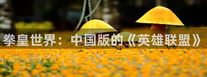 yy漫画在线阅读免费漫画阅读：拳皇世界：中国版的《英雄联盟》