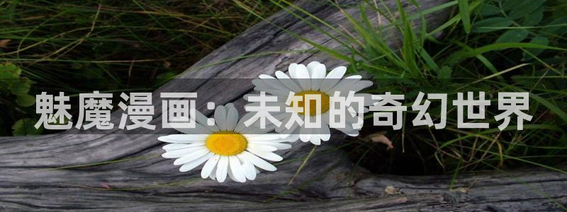 韩漫yy漫画：魅魔漫画：未知的奇幻世界