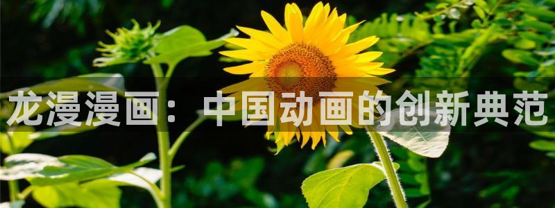 破解版yy漫画：龙漫漫画：中国动画的创新典范